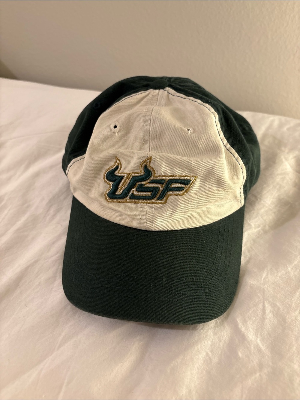 Y2K USF hat